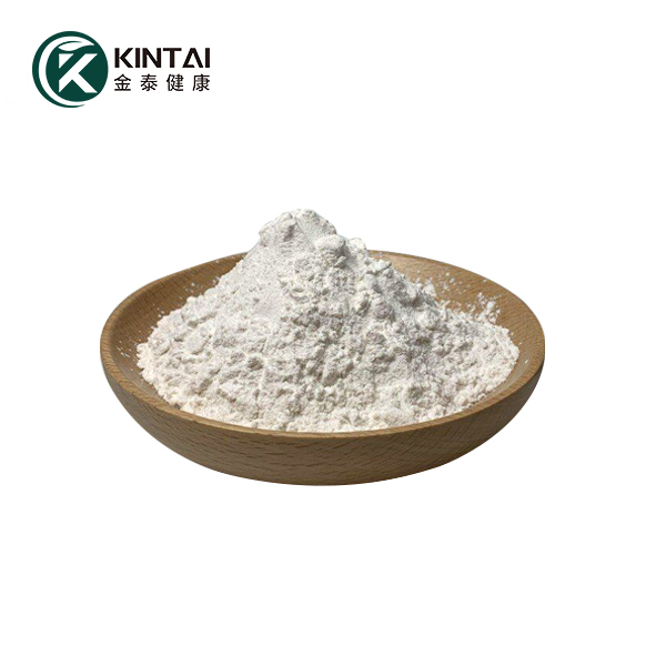 Hyaluronic Acid Powder Bulk